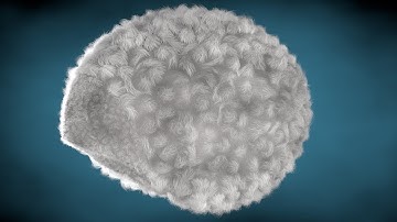 Cinema 4D Tutorial Sheep Hair
