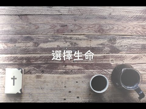 詩歌Cover// 選擇生命//  小確幸 Shiawase// Lyrics MV
