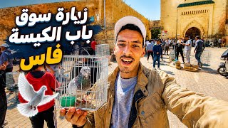 مشيت السوق الحمام اثمن ديال الحمام 🕊️ و توليعة في سطح منزلي 😍