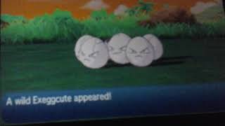 Rockruff Hp Ev Training Silent Besides Music