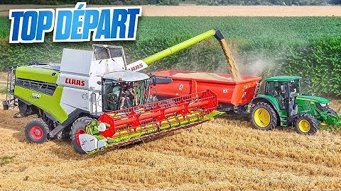 MOISSON D'ORGE 2024 !  (1 mois dans ma peau 3/30)