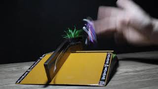 Session With The Wood Works Funbox 1.0