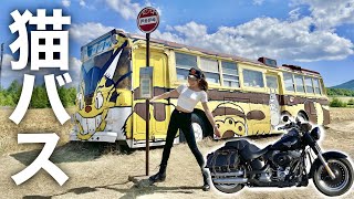【トトロ好き必見】北海道に現れた超巨大猫バス！！【女性ライダーモトブログ】