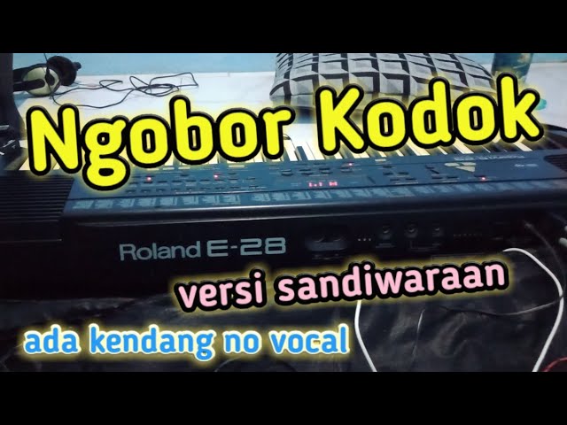 Ngobor Kodok (Evi Shandra - Cipt. Amin Hermawan) class=