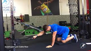 Quadruped Low Cable Row