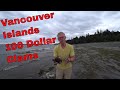 Vancouver island 100 dollar clams