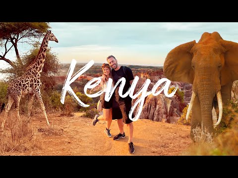 Video: Il Masai Mara National Park è la riserva naturale più famosa del Kenya. Presenta Masai Mara