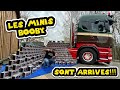 Les minis booby sont arrivs 