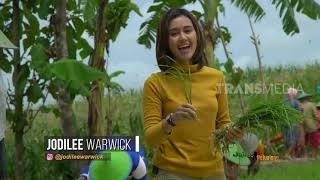 TRADISI WIWITAN Yang Mempererat Masyarakat | JEJAK PETUALANG -BTS NEWS-
