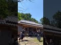 キエエエ!! これが野太刀自顕流だ！#野太刀自顕流 #志布志