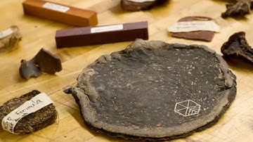 Wood Alternative Made From Kombucha Waste | The Henry Ford’s Innovation Nation