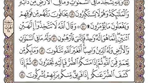 سورة النحل، مكتوبة، ياسر الدوسري