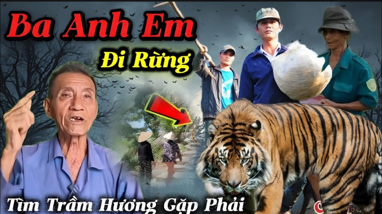 Ba Anh Em Đi Rừng Tìm Trầm Hương Gặp Phải...