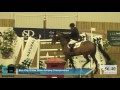 Blue Chip Show Jumping Championships - Day 3 - Blue Chip Grand Prix