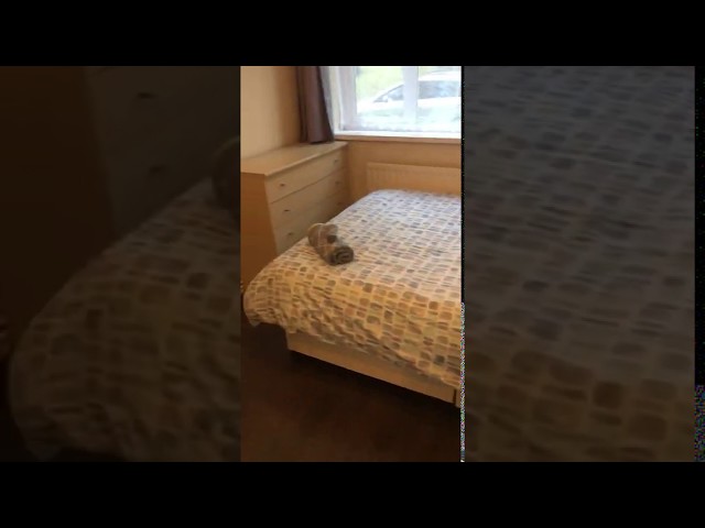 Video 1: Bathroom