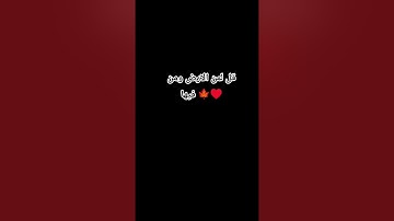 #القرآن_الكريم ياسر الدوسري #قران #قرآن #ياسر_الدوسري #سورة_المؤمنون #اكسبلور