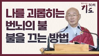 나를 괴롭히는 번뇌! 번뇌의 불을 끄는 법 [법안스님의 기도 30회]