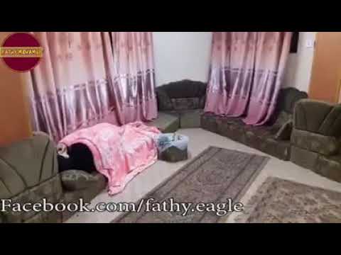 الاب يقفش ابنه وهو بيكلم موزه 