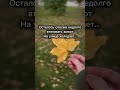 Кто уже втянул живот? #ногти #юмор #краснодар
