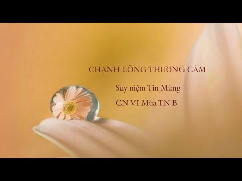 💗 CHẠNH LÒNG 💐THƯƠNG CẢM 🙏🏼|| Suy niệm Tin Mừng CN VI Thường niên Năm B