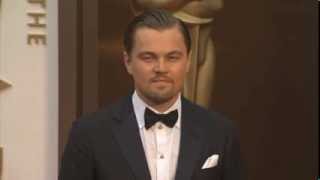 Leonardo DiCaprio walks Oscars 2014 red carpet