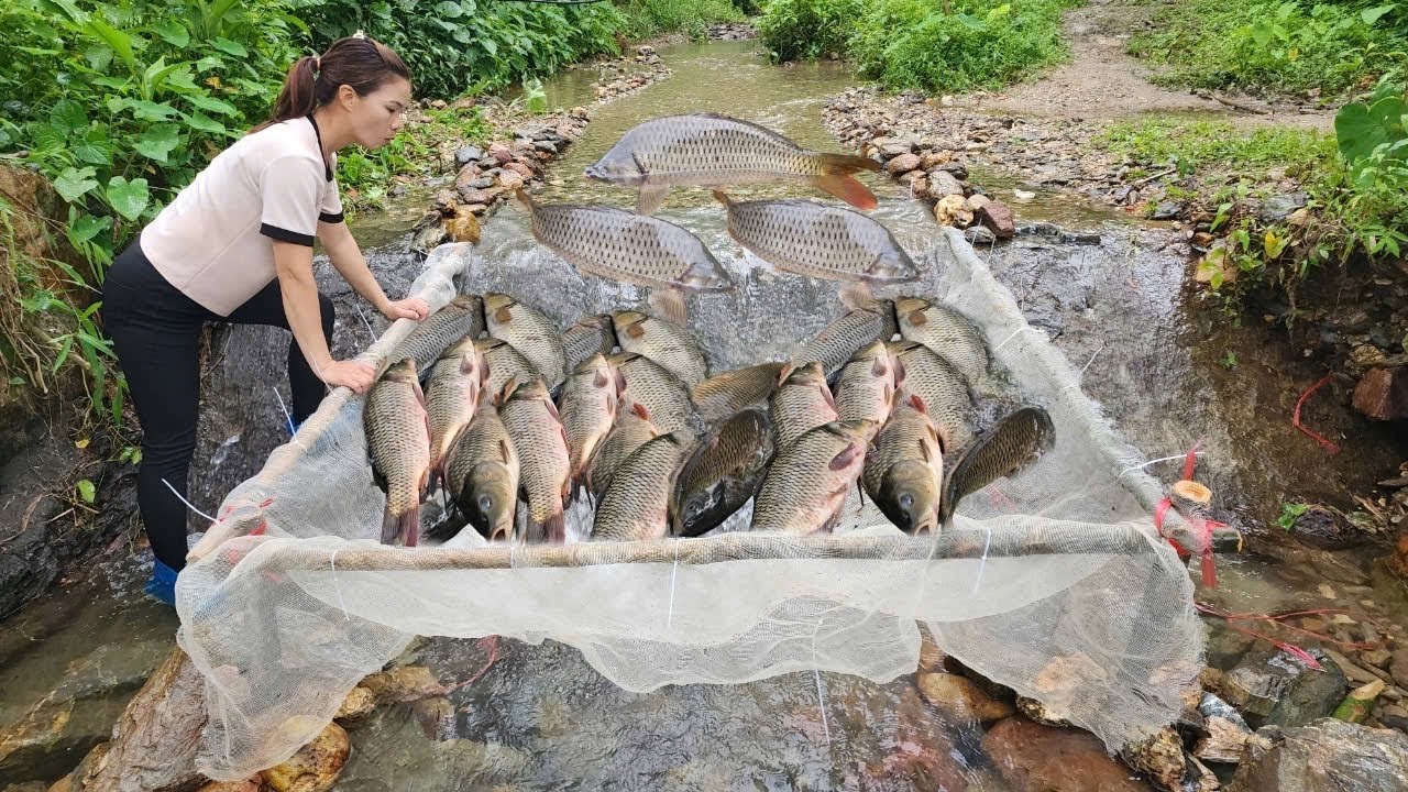 The girl caught a lot of fish with her trap and took them to the market ...