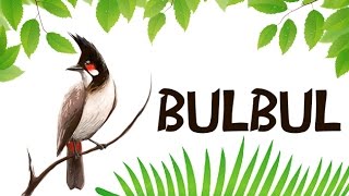 Download the 'lehren android app' - https://goo.gl/m2xnrt learn how to
say 'bulbul' (बुलबुल) correctly in this videos with proper
pronunciation of words and ...