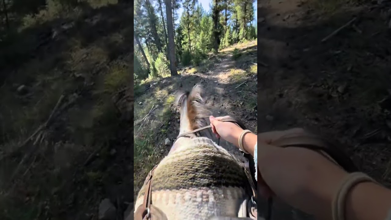 Where’s the first place you will go? Videos from vogelsberg #cowgirlmagazine #western