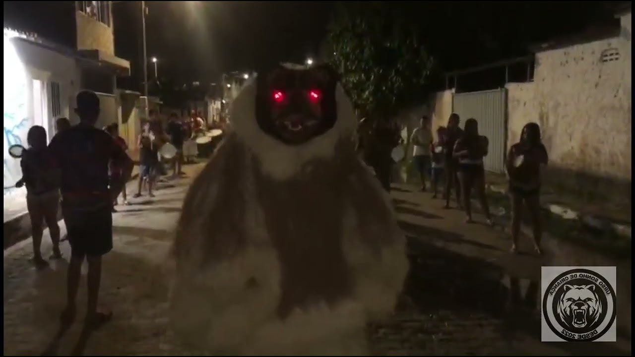 UM POUCO DO ENSAIO DO URSO SONHO DE CRIANÇA 🐻‍❄️🥁💜