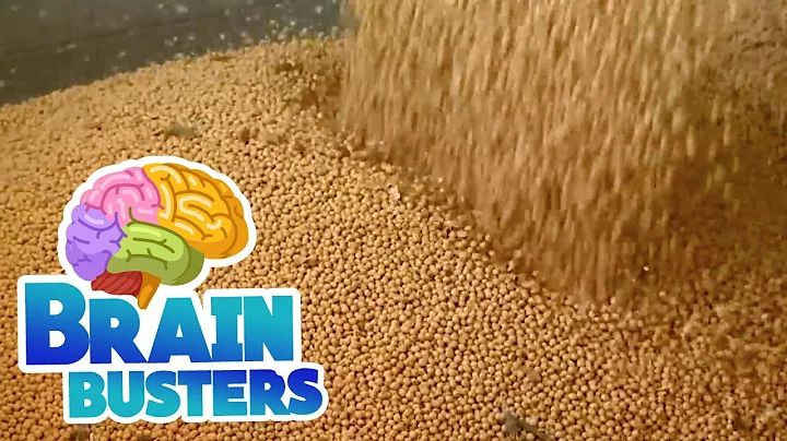 Serious Science: Soybean Farming