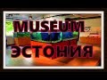 Музей в Эстонии. Аквариумы и аквариумные рыбы в Эстонии.
