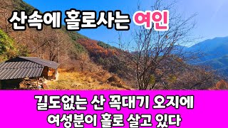 해발600 길도없는 산골짜기  여성 의 몸으로 홀로 30년째 살고 계시는 진짜 여자 자연인