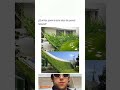 ¿Qué les parece esta idea de pared natural#shorts
