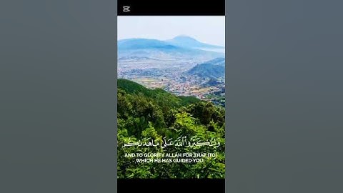 القارئ (محمد اللحيدان) سورة (البقره)#قرآن #المصحف #قران_كريم #راحة_نفسية #اكسبلور