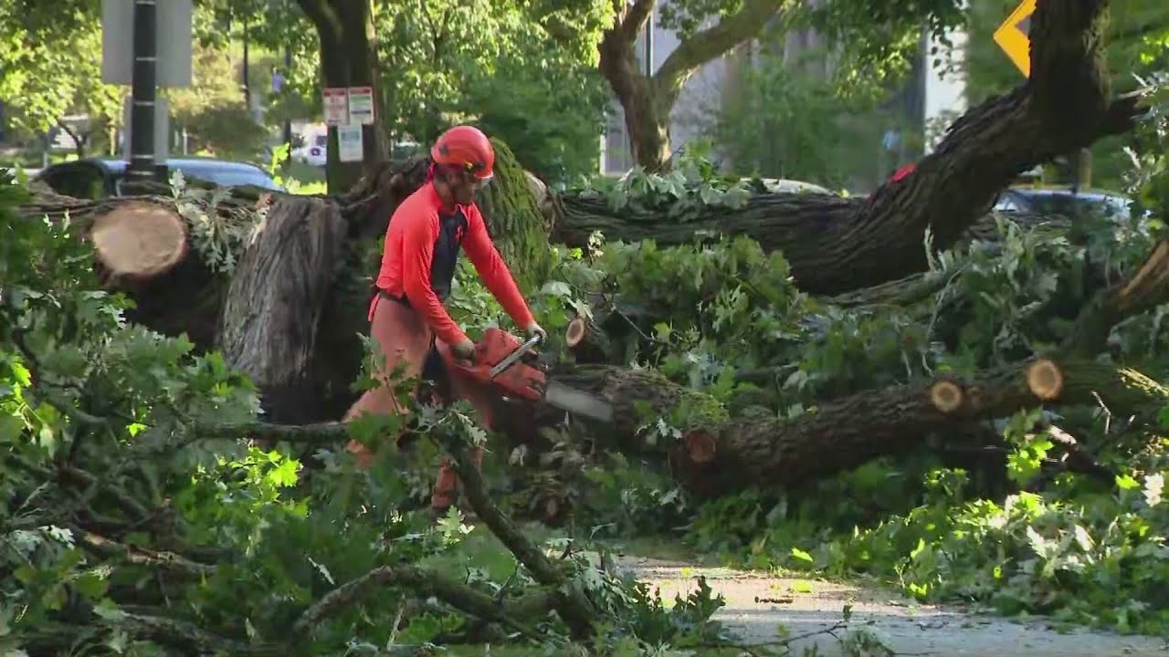 Cleanup continues after storms damage trees, power lines - YouTube