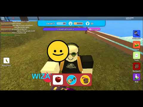 Roblox Events How To Find Momo Purple Shell Tips Youtube - purple shell roblox