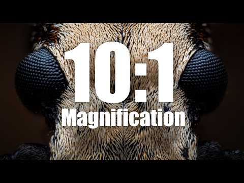 Handheld Macro at 10:1 Magnification?! - Laowa Aksen 1-5x & 5-10x Review