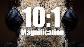Handheld Macro at 10:1 Magnification?! - Laowa Aksen 1-5x & 5-10x Review Handheld Macro at 10:1 Magnification?! - Laowa Aksen 1-5x & 5-10x Review