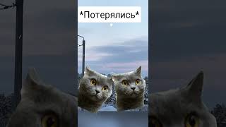 Как мы ходим гулять: