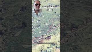 Doğanın Güç Savaşı Kangalın Korkusuz Mücadelesi Kartala Kafa Tutuyor Ğa