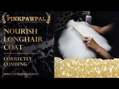 Persian Combing / หวีขนแมวยังไงให้ขนสวย เหมือนแมวประกวด
