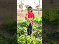 Mansi ke Gale me radish fas gayi #shorts #maa #sad #viralvideo