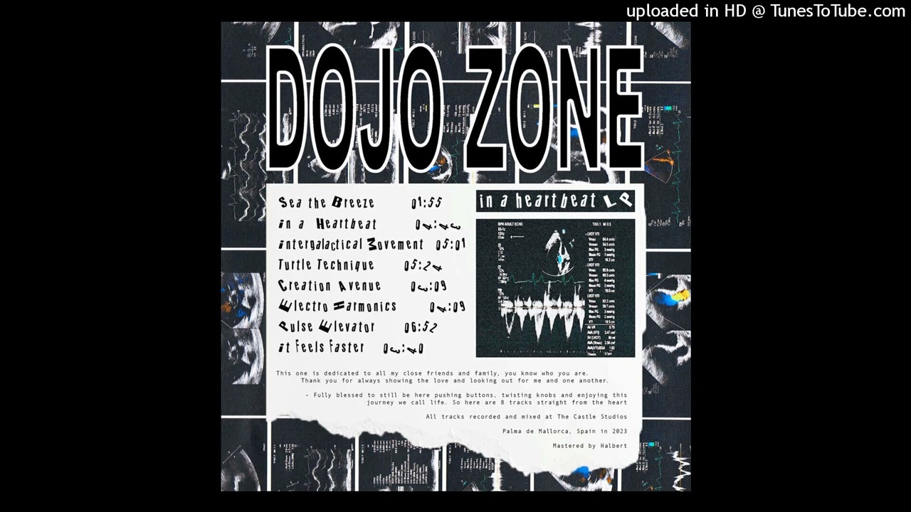 Dojo Zone - Electro Harmonics auf YouTube ansehen Dojo Zone - Electro Harmonics auf YouTube ansehen