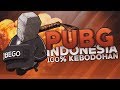 PUBG Indonesia - 100% Kebodohan
