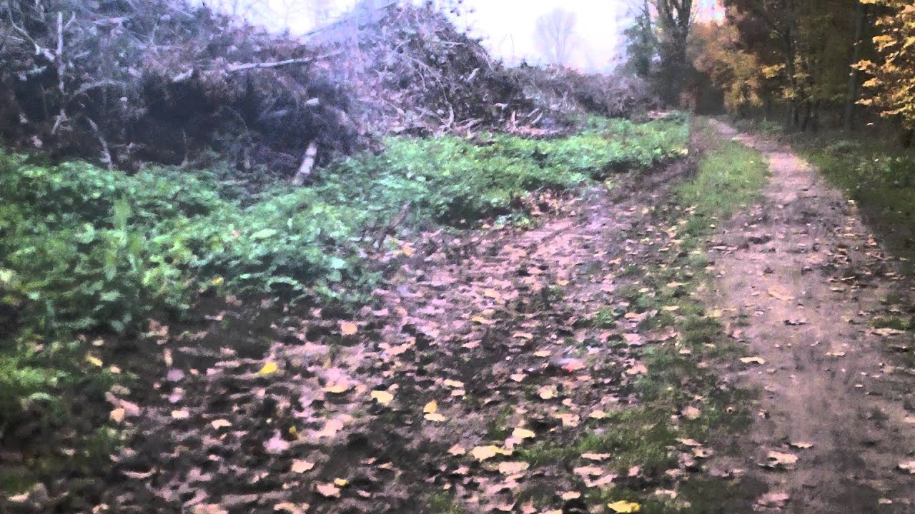 Silberhütte Power Cracker-vs-Depyfag Harzer Pfau Knaller