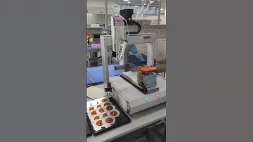 High Efficiency Peristaltic adhesive dispensing machine with UV Glue Dispenser used in PCB Coating.