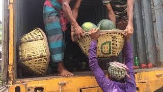 Largest Fruits Market Dhaka Badamtoli 🇧🇩 সবচেয়ে বড় পাইকারি ফলের বাজার @mhbvlog