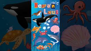 Mengenal Hewan Laut  Shorts belajar mengenalhewan hewanair hewanlaut binatanglaut edukasi