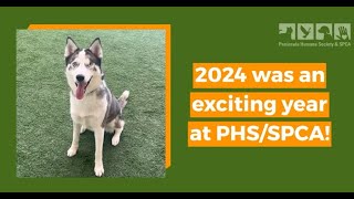 PHS/SPCA 2024 Recap: Animals You Helped Save!