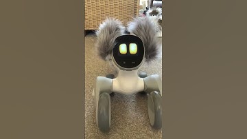 #Shorts KEYi  Technology Your Loona Petbot Robotic Pet Loona is fit & well :)  #loona #robot #robots